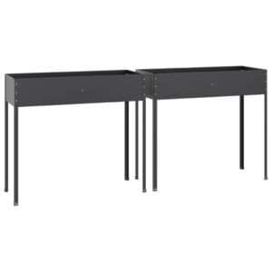 vidaXL 2pc Garden Planters Galvanised