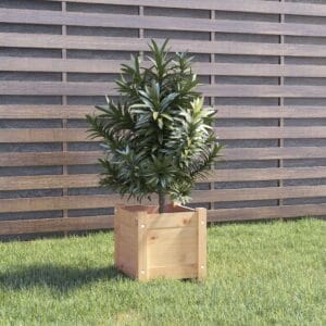 vidaXL Garden Planter Solid Pine Wood