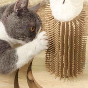 Pawhut 49cm Cat Scratching Post