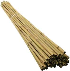 100 x 5ft Bamboo Canes 150cm