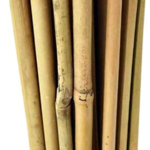 200 x 6ft (180cm) Bamboo Canes
