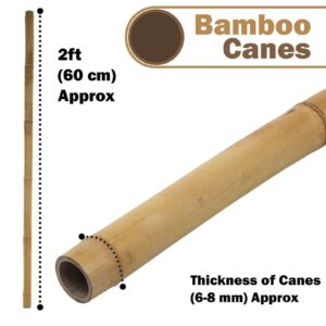 40 x 4ft Bamboo Canes Sticks 120cm