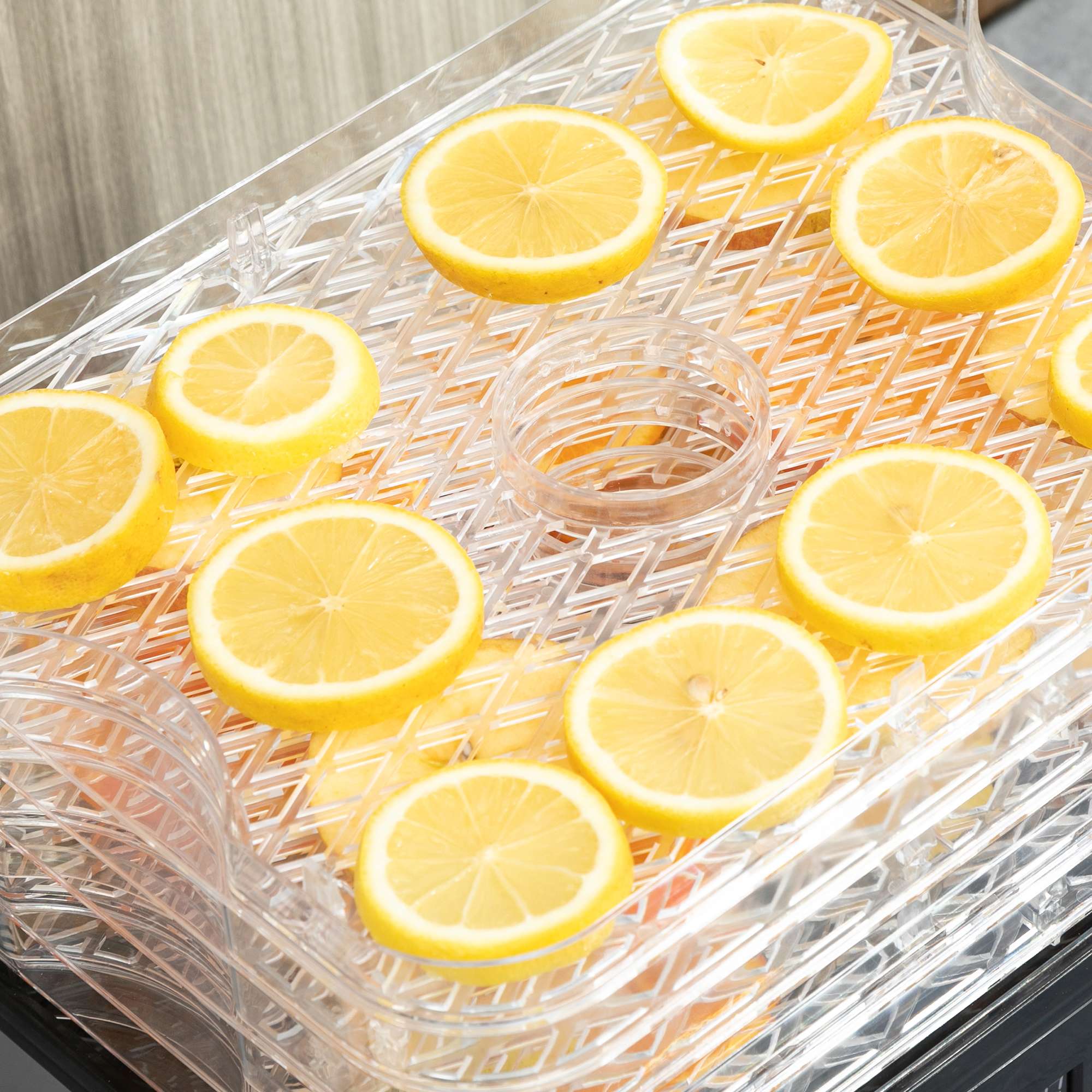 Homcom 5 Tier Food Dehydrator 245w Stainless Steel Homcom 5 Tier Food Dehydrator 245w Stainless Steel