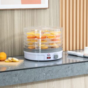 HOMCOM 5 Tier Food Dehydrator 245W Stainless Steel