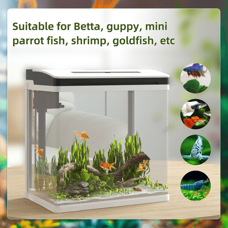 PawHut Aquarium 13L Glass Tank with Filter PawHut Aquarium 13L Glass Tank with Filter