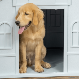 PawHut Weather-Resistant Dog House