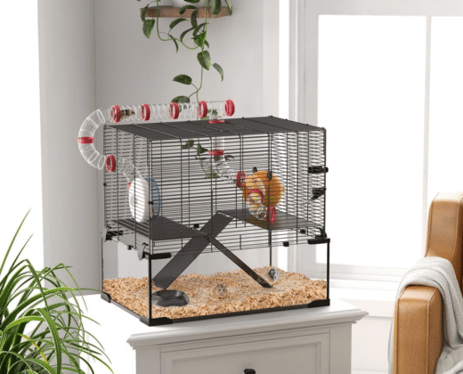 two small hamsters sitting on woodchips in the bottom of a black 2 tier hamster cage with tubes, this is sitting on top of a white cabinet