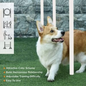 PawHut Dog Agility Equipment Set