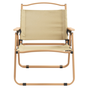 vidaXL 2 Camping Chairs Oxford Fabric
