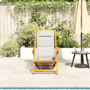 vidaXL Beach Chair w/ Armrests