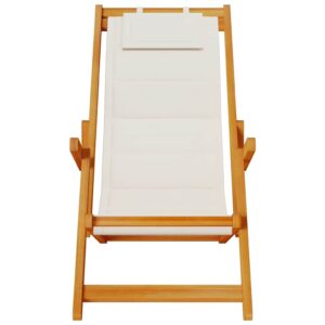 vidaXL Beach Chair w/ Armrests