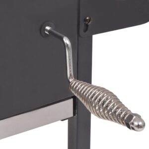 vidaXL BBQ Charcoal Smoker Black