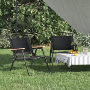 vidaXL 2 Camping Chairs Oxford Fabric