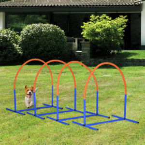 PawHut Dog Agility Training Equipment