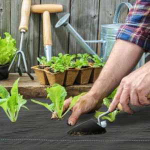 Outsunny 2mx90m Weed Control Membrane - Image 1 of 8