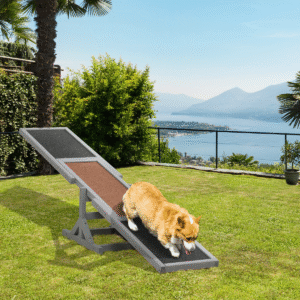 PawHut Wooden Pet Seesaw for Big Dogs