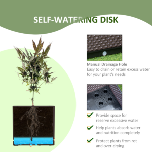 Outsunny 2 Piece Raised Garden Bed Planter Box