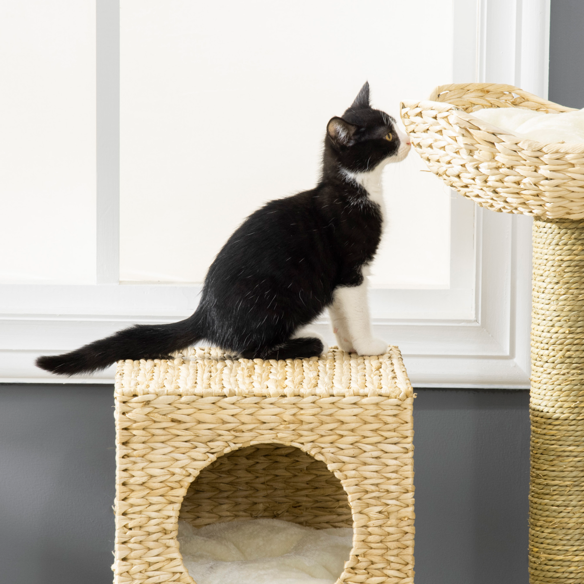 PawHut Cat Tree Kitten Tower with Scratching Posts PawHut Cat Tree Kitten Tower with Scratching Posts