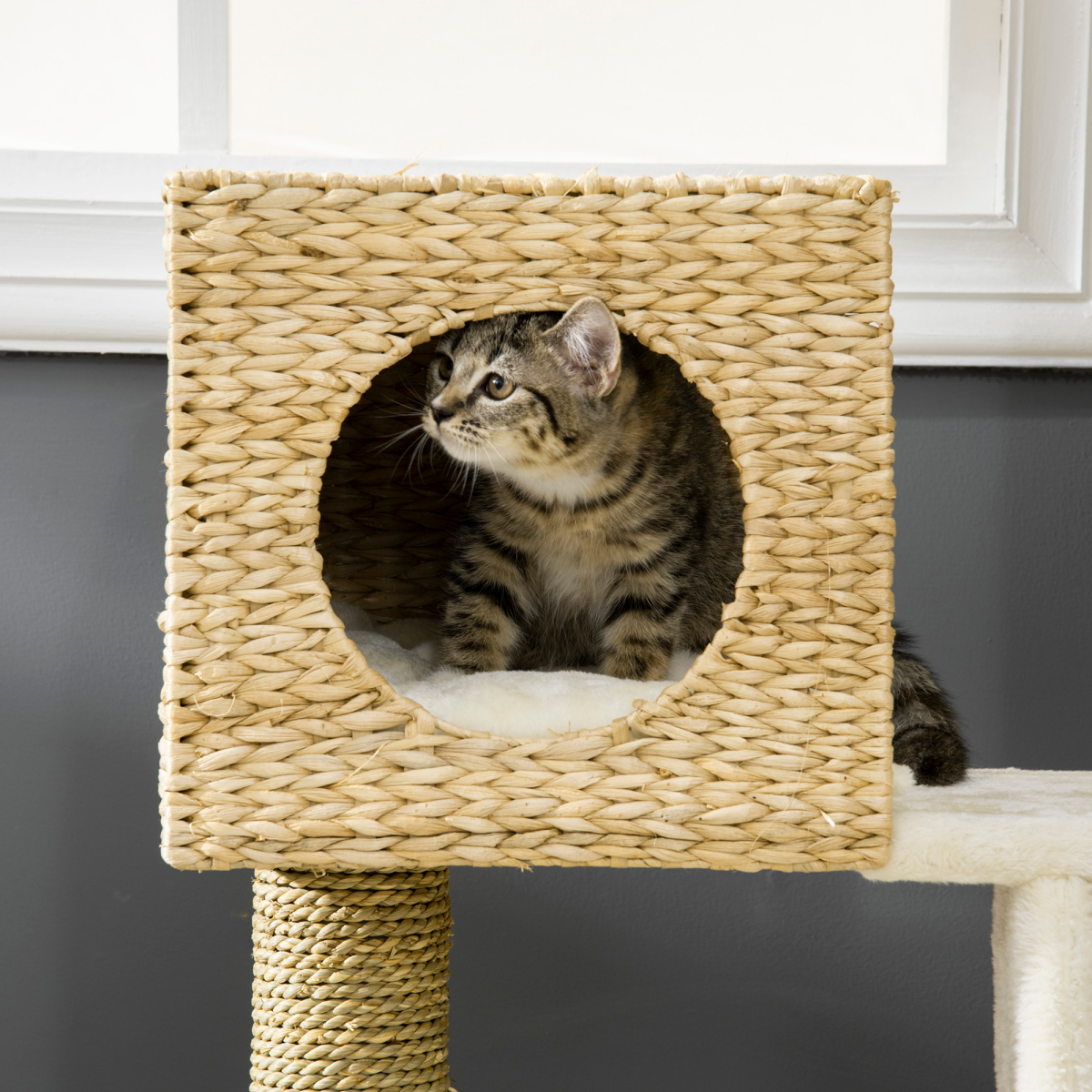 PawHut Cat Tree Kitten Tower with Scratching Posts PawHut Cat Tree Kitten Tower with Scratching Posts
